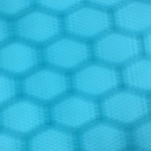 Meet your Posher, Poodle